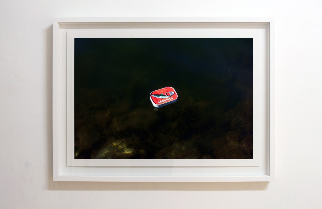 Alex Gawronski, Substitute, 2017